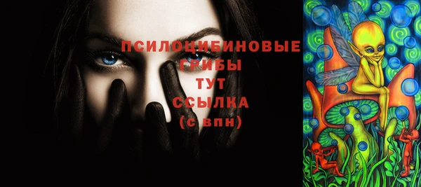 ГАЛЛЮЦИНОГЕННЫЕ ГРИБЫ Алексеевка
