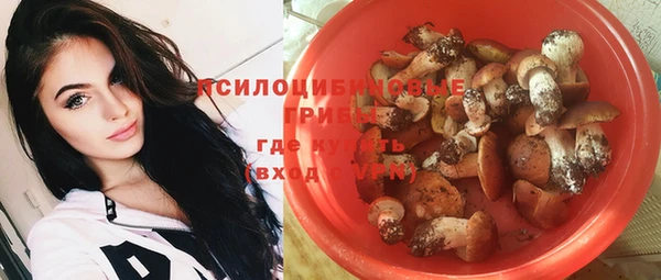 дмт Алзамай