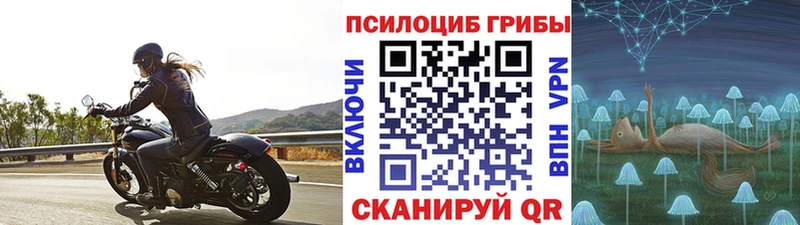 даркнет клад  MEGA как зайти  Бердск  Галлюциногенные грибы ЛСД 