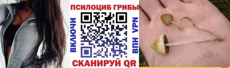 Галлюциногенные грибы MAGIC MUSHROOMS Бердск